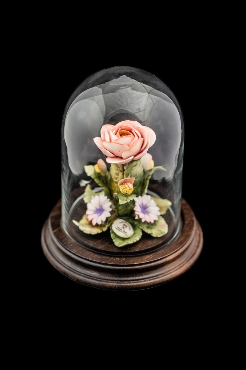 Rosa singola in porcellana sotto vetro con base in legno